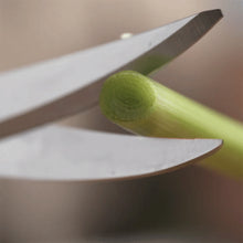 將圖片載入圖庫檢視器 NIKKEN|秋月萬用料理剪